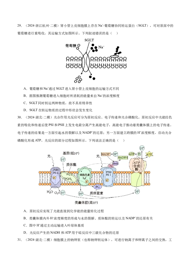 押新高考卷细胞的结构与物质进出细胞的方式（原卷版）-备战2024年高考生物临考题号押题（新高考通用）_2024年新高考资料_5.2024三轮冲刺_押单项选择题