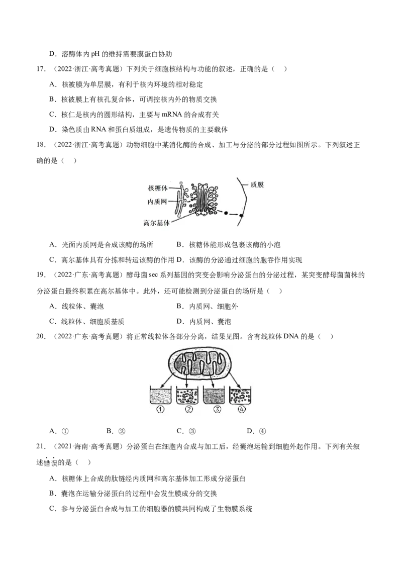 押新高考卷细胞的结构与物质进出细胞的方式（原卷版）-备战2024年高考生物临考题号押题（新高考通用）_2024年新高考资料_5.2024三轮冲刺_押单项选择题