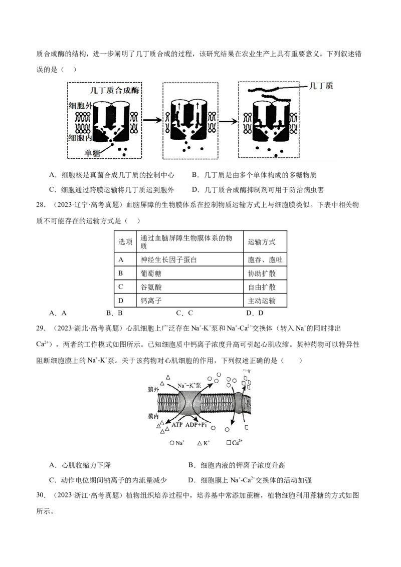 押新高考卷细胞的结构与物质进出细胞的方式（原卷版）-备战2024年高考生物临考题号押题（新高考通用）_2024年新高考资料_5.2024三轮冲刺_押单项选择题