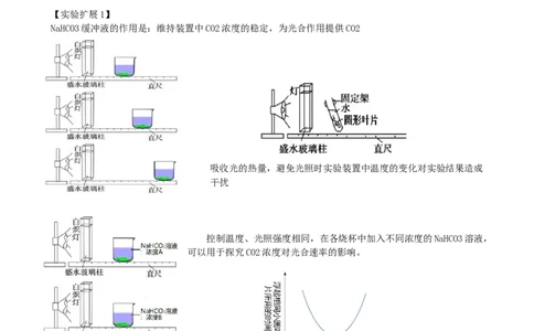 第10.2讲光合作用的影响因素和应用（讲义）（学生版）_2024年新高考资料_1.2024一轮复习_2024年高考生物一轮复习讲练测（新教材新高考）