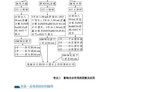 第10.2讲光合作用的影响因素和应用（讲义）（学生版）_2024年新高考资料_1.2024一轮复习_2024年高考生物一轮复习讲练测（新教材新高考）