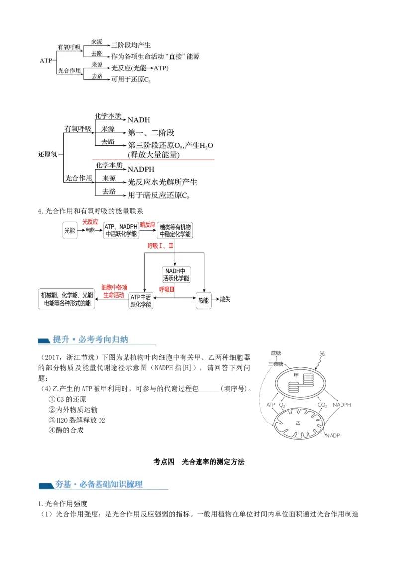 第10.2讲光合作用的影响因素和应用（讲义）（学生版）_2024年新高考资料_1.2024一轮复习_2024年高考生物一轮复习讲练测（新教材新高考）