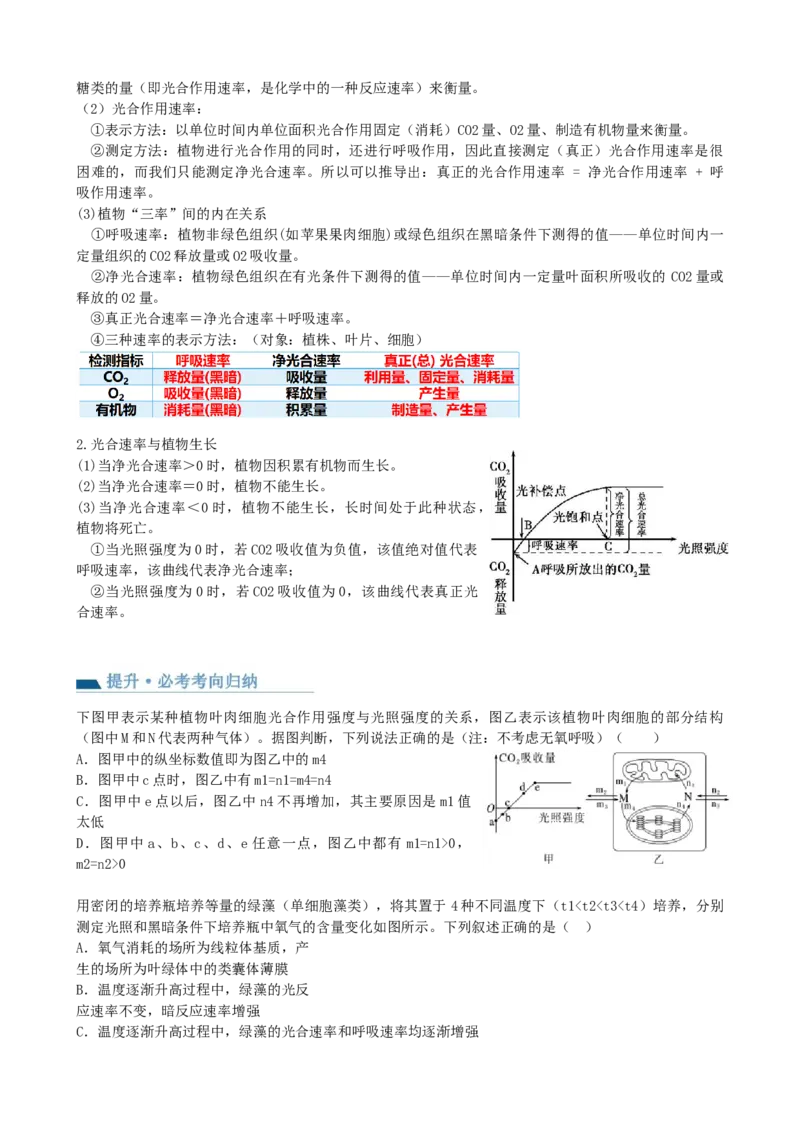 第10.2讲光合作用的影响因素和应用（讲义）（学生版）_2024年新高考资料_1.2024一轮复习_2024年高考生物一轮复习讲练测（新教材新高考）