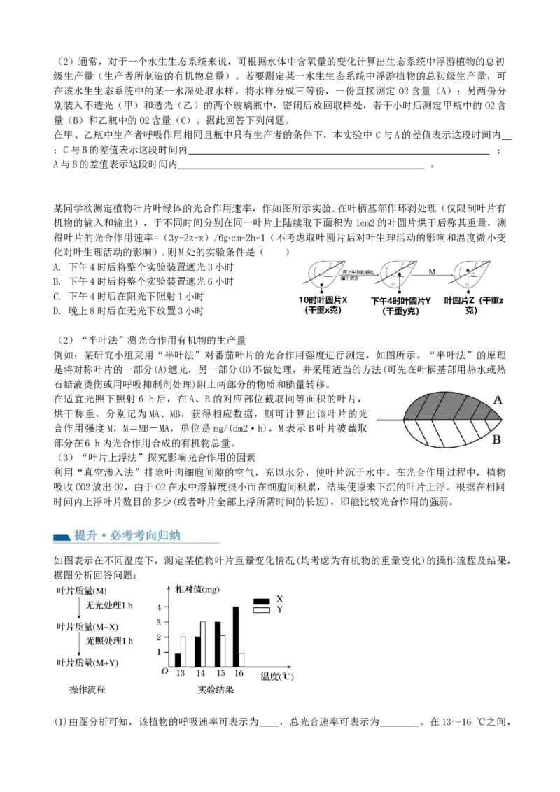 第10.2讲光合作用的影响因素和应用（讲义）（学生版）_2024年新高考资料_1.2024一轮复习_2024年高考生物一轮复习讲练测（新教材新高考）