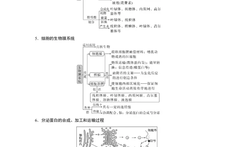 2023年高考生物二轮复习（全国版）第1篇专题突破专题1考点3　细胞的类型、结构和功能_通用版（老高考）复习资料_2023年复习资料_二轮复习_2023年高考生物二轮复习讲义+课件（全国版）
