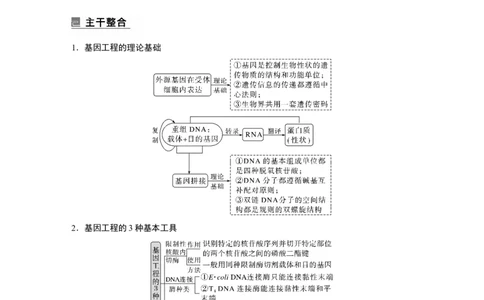 2023年高考生物二轮复习（全国版）第1篇专题突破专题9考点1　基因工程(含PCR技术与应用)_通用版（老高考）复习资料_2023年复习资料_二轮复习_2023年高考生物二轮复习讲义（全国版）