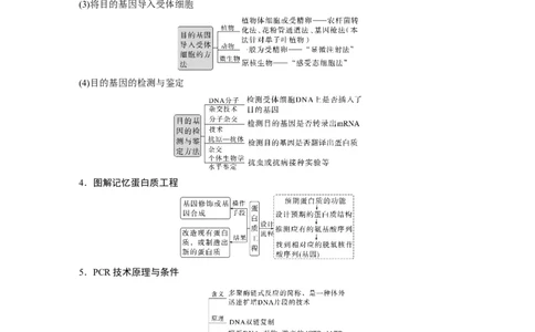 2023年高考生物二轮复习（全国版）第1篇专题突破专题9考点1　基因工程(含PCR技术与应用)_通用版（老高考）复习资料_2023年复习资料_二轮复习_2023年高考生物二轮复习讲义（全国版）