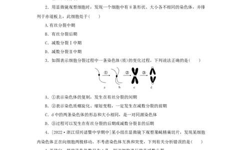 2023版新教材高考生物微专题小练习专练42减数分裂与有丝分裂的比较202208091209_通用版（老高考）复习资料_2023年复习资料_一轮复习_2023届高考生物一轮微专题100练
