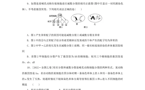 2023版新教材高考生物微专题小练习专练42减数分裂与有丝分裂的比较202208091209_通用版（老高考）复习资料_2023年复习资料_一轮复习_2023届高考生物一轮微专题100练