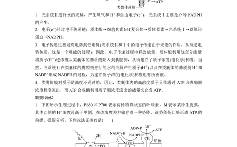 2023年高考生物一轮复习（全国版）第3单元解惑练3　光系统及电子传递链_通用版（老高考）复习资料_2023年复习资料_一轮复习_2023年高考生物一轮复习讲义+课件（全国版）