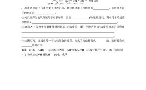 2023年高考生物一轮复习（全国版）第3单元解惑练3　光系统及电子传递链_通用版（老高考）复习资料_2023年复习资料_一轮复习_2023年高考生物一轮复习讲义+课件（全国版）