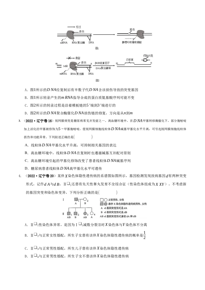押第20题遗传与进化模块（原卷版）_2024年新高考资料_5.2024三轮冲刺_备战2024年高考生物临考题号押题（辽宁、黑龙江、吉林专用）322857720