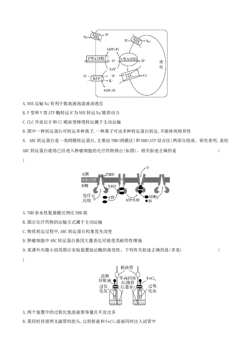押第16题分子与细胞模块（原卷版）_2024年新高考资料_5.2024三轮冲刺_备战2024年高考生物临考题号押题（辽宁、黑龙江、吉林专用）322857720