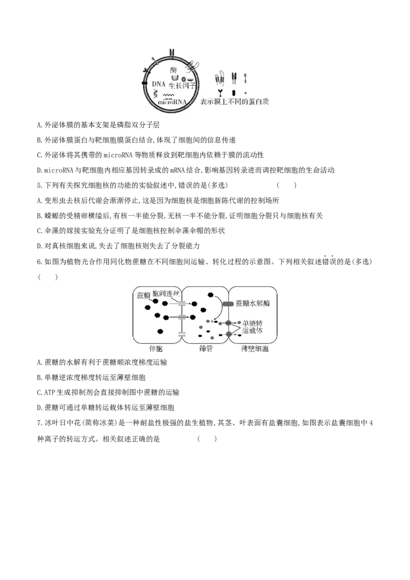 押第16题分子与细胞模块（原卷版）_2024年新高考资料_5.2024三轮冲刺_备战2024年高考生物临考题号押题（辽宁、黑龙江、吉林专用）322857720