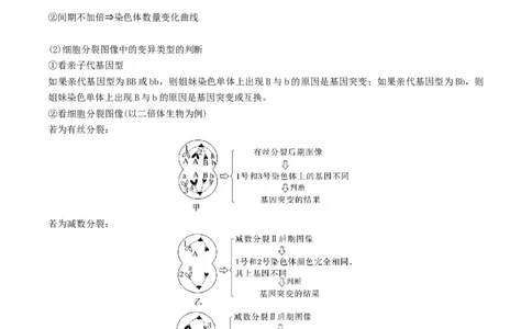 押题点08细胞的生命历程（原卷版）_2024年新高考资料_5.2024三轮冲刺_备战2024年高考生物临考题号押题（辽宁、黑龙江、吉林专用）322857720