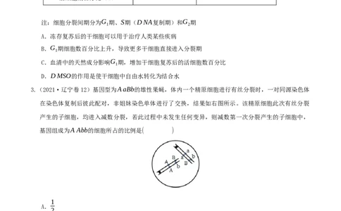 押题点08细胞的生命历程（原卷版）_2024年新高考资料_5.2024三轮冲刺_备战2024年高考生物临考题号押题（辽宁、黑龙江、吉林专用）322857720