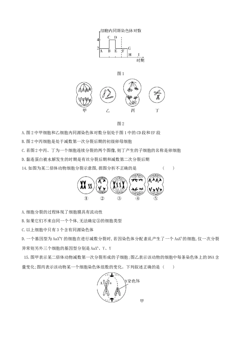 押题点08细胞的生命历程（原卷版）_2024年新高考资料_5.2024三轮冲刺_备战2024年高考生物临考题号押题（辽宁、黑龙江、吉林专用）322857720