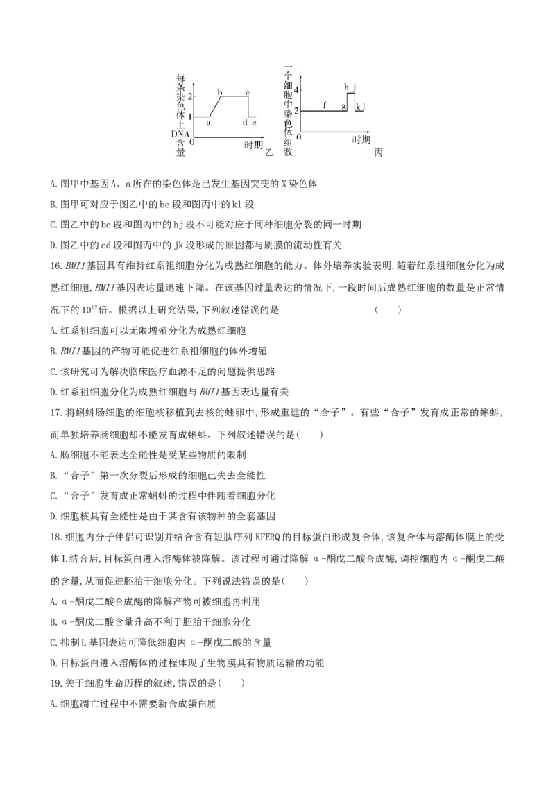 押题点08细胞的生命历程（原卷版）_2024年新高考资料_5.2024三轮冲刺_备战2024年高考生物临考题号押题（辽宁、黑龙江、吉林专用）322857720
