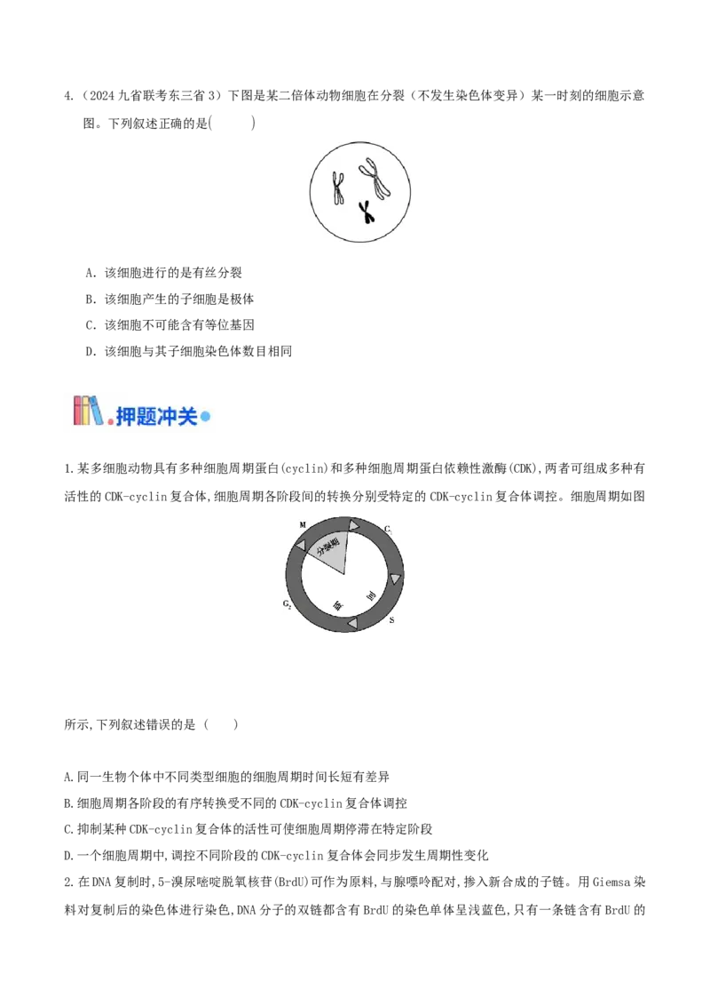 押题点08细胞的生命历程（原卷版）_2024年新高考资料_5.2024三轮冲刺_备战2024年高考生物临考题号押题（辽宁、黑龙江、吉林专用）322857720