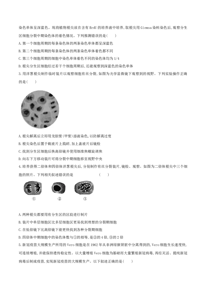 押题点08细胞的生命历程（原卷版）_2024年新高考资料_5.2024三轮冲刺_备战2024年高考生物临考题号押题（辽宁、黑龙江、吉林专用）322857720