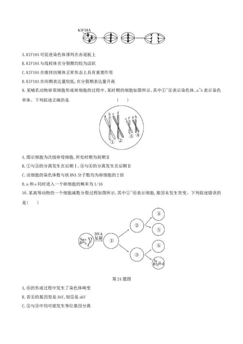 押题点08细胞的生命历程（原卷版）_2024年新高考资料_5.2024三轮冲刺_备战2024年高考生物临考题号押题（辽宁、黑龙江、吉林专用）322857720