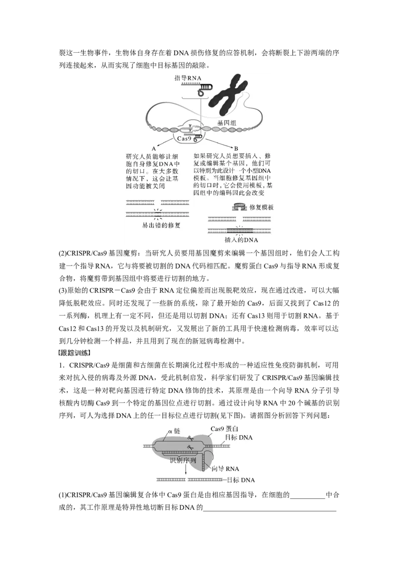 2023年高考生物一轮复习（新人教新高考）第10单元解惑练5　CRISPRCas9技术_新高考复习资料_2023年新高考复习资料_一轮复习_2023年新高考大一轮复习讲义