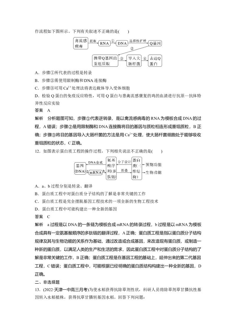 2023年高考生物一轮复习（新人教新高考）第10单元第7课时　基因工程的应用和蛋白质工程_新高考复习资料_2023年新高考复习资料_一轮复习_2023年新高考大一轮复习讲义