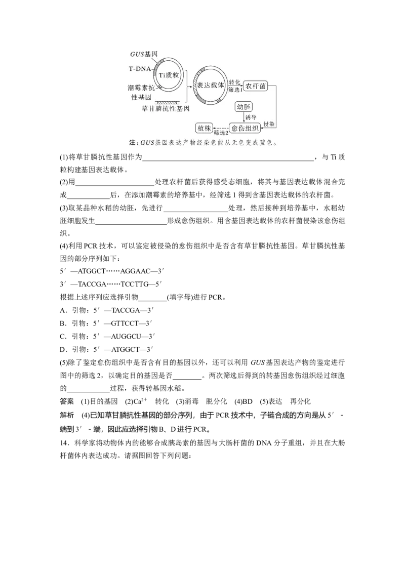 2023年高考生物一轮复习（新人教新高考）第10单元第7课时　基因工程的应用和蛋白质工程_新高考复习资料_2023年新高考复习资料_一轮复习_2023年新高考大一轮复习讲义