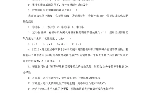 2023版新教材高考生物微专题小练习专练24细胞呼吸有氧呼吸与无氧呼吸202208091189_通用版（老高考）复习资料_2023年复习资料_一轮复习_2023届高考生物一轮微专题100练