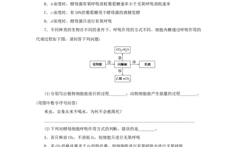 2023版新教材高考生物微专题小练习专练24细胞呼吸有氧呼吸与无氧呼吸202208091189_通用版（老高考）复习资料_2023年复习资料_一轮复习_2023届高考生物一轮微专题100练