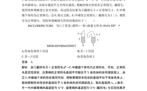 热点微练12基因位置的判断(尖子生特训)_2024年新高考资料_1.2024一轮复习_2024年高考生物一轮复习讲义（新人教版）_另附1套Word版题库_必修2_第五单元遗传的基本规律