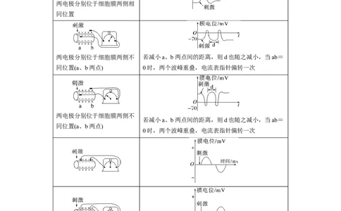 2023年高考生物一轮复习（全国版）第8单元微专题七　兴奋传导与传递的相关实验探究_通用版（老高考）复习资料_2023年复习资料_一轮复习_2023年高考生物一轮复习讲义+课件（全国版）