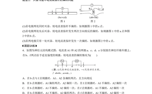 2023年高考生物一轮复习（全国版）第8单元微专题七　兴奋传导与传递的相关实验探究_通用版（老高考）复习资料_2023年复习资料_一轮复习_2023年高考生物一轮复习讲义+课件（全国版）