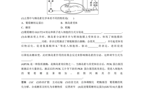 2023年高考生物二轮复习（全国版）第3篇考前特训专项三(三)个体稳态_通用版（老高考）复习资料_2023年复习资料_二轮复习_2023年高考生物二轮复习讲义+课件（全国版）