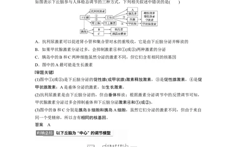 2022年高考生物一轮复习第8单元第25讲热点题型八动物生命活动调节模型的构建与分析_新高考复习资料_2022年新高考复习资料_2022年一轮复习最新版