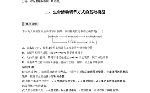 2022年高考生物一轮复习第8单元第25讲热点题型八动物生命活动调节模型的构建与分析_新高考复习资料_2022年新高考复习资料_2022年一轮复习最新版