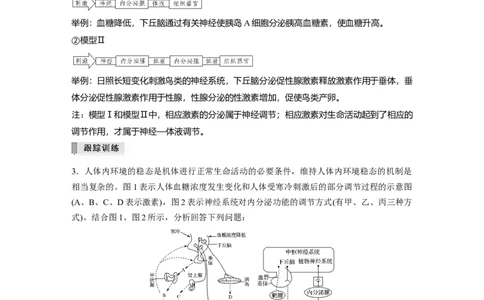 2022年高考生物一轮复习第8单元第25讲热点题型八动物生命活动调节模型的构建与分析_新高考复习资料_2022年新高考复习资料_2022年一轮复习最新版
