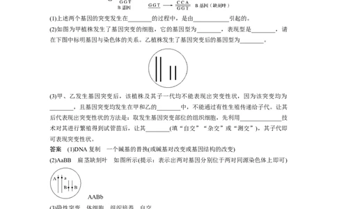 2022年高考生物一轮复习第7单元强化练13　生物变异类型的判断_新高考复习资料_2022年新高考复习资料_2022年一轮复习最新版_1.2022年高考生物一轮复习全国通用版