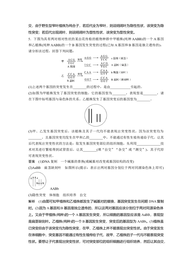 2022年高考生物一轮复习第7单元强化练13　生物变异类型的判断_新高考复习资料_2022年新高考复习资料_2022年一轮复习最新版_1.2022年高考生物一轮复习全国通用版