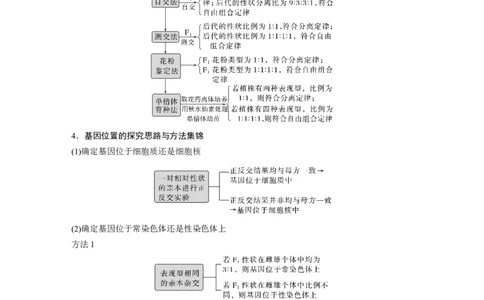 2023年高考生物二轮复习（全国版）第1篇专题突破专题4考点2　遗传实验的设计与推理_通用版（老高考）复习资料_2023年复习资料_二轮复习_2023年高考生物二轮复习讲义+课件（全国版）