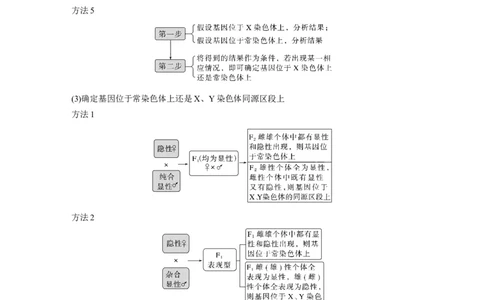 2023年高考生物二轮复习（全国版）第1篇专题突破专题4考点2　遗传实验的设计与推理_通用版（老高考）复习资料_2023年复习资料_二轮复习_2023年高考生物二轮复习讲义+课件（全国版）