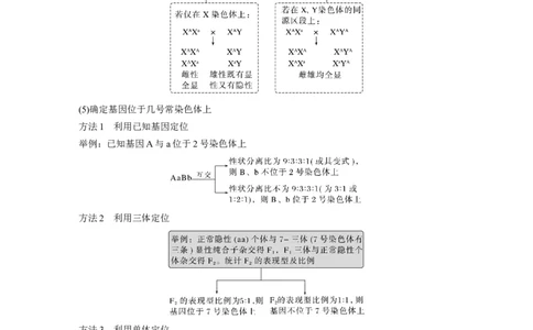 2023年高考生物二轮复习（全国版）第1篇专题突破专题4考点2　遗传实验的设计与推理_通用版（老高考）复习资料_2023年复习资料_二轮复习_2023年高考生物二轮复习讲义+课件（全国版）