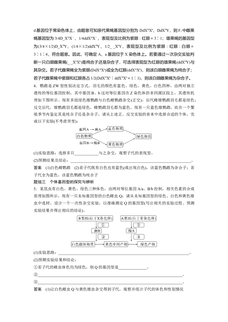 2023年高考生物二轮复习（全国版）第1篇专题突破专题4考点2　遗传实验的设计与推理_通用版（老高考）复习资料_2023年复习资料_二轮复习_2023年高考生物二轮复习讲义+课件（全国版）