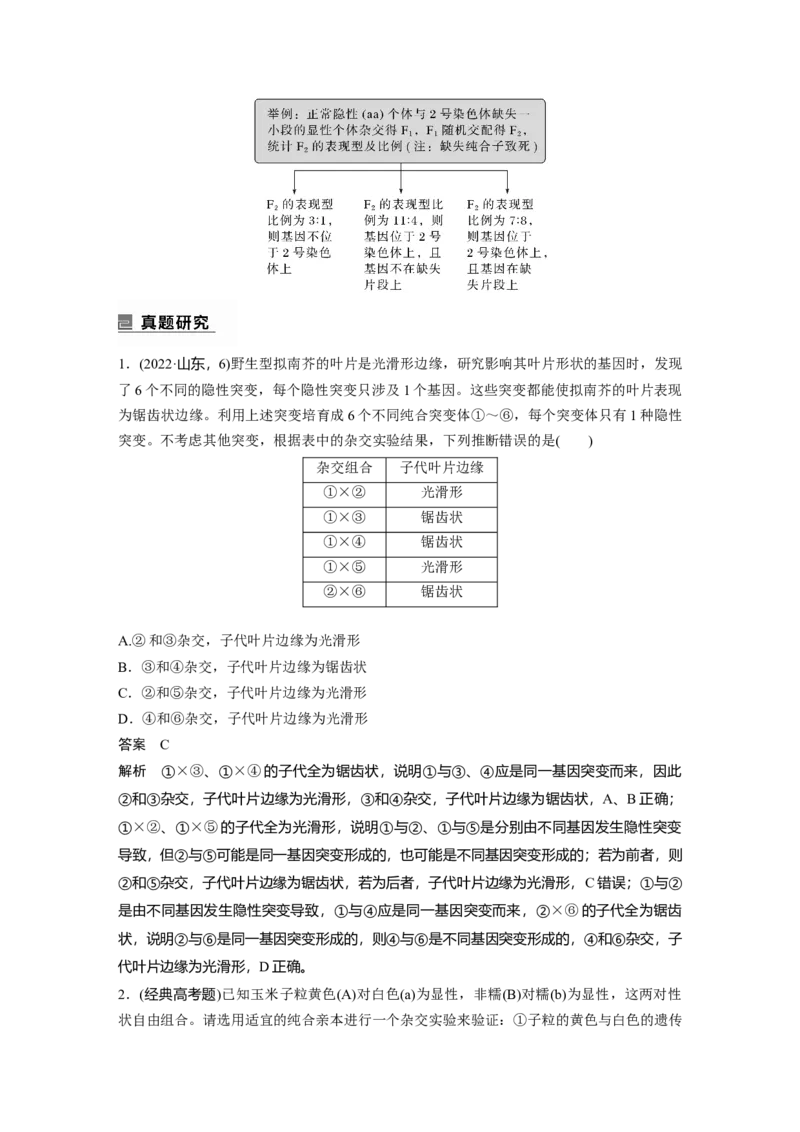 2023年高考生物二轮复习（全国版）第1篇专题突破专题4考点2　遗传实验的设计与推理_通用版（老高考）复习资料_2023年复习资料_二轮复习_2023年高考生物二轮复习讲义+课件（全国版）