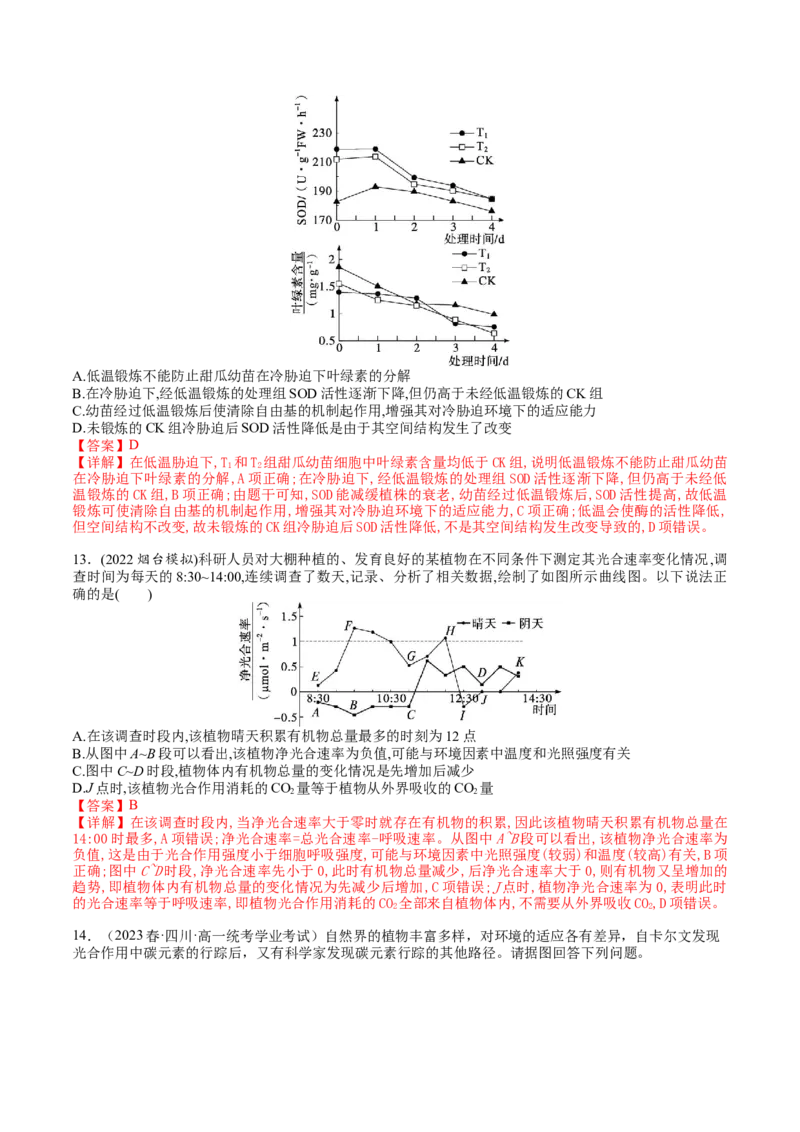 第11讲细胞代谢综合分析（练习）（解析版）_2024年新高考资料_1.2024一轮复习_2024年高考生物一轮复习讲练测（新教材新高考）