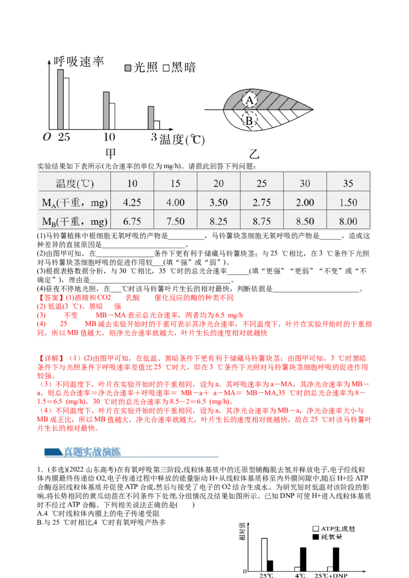 第11讲细胞代谢综合分析（练习）（解析版）_2024年新高考资料_1.2024一轮复习_2024年高考生物一轮复习讲练测（新教材新高考）