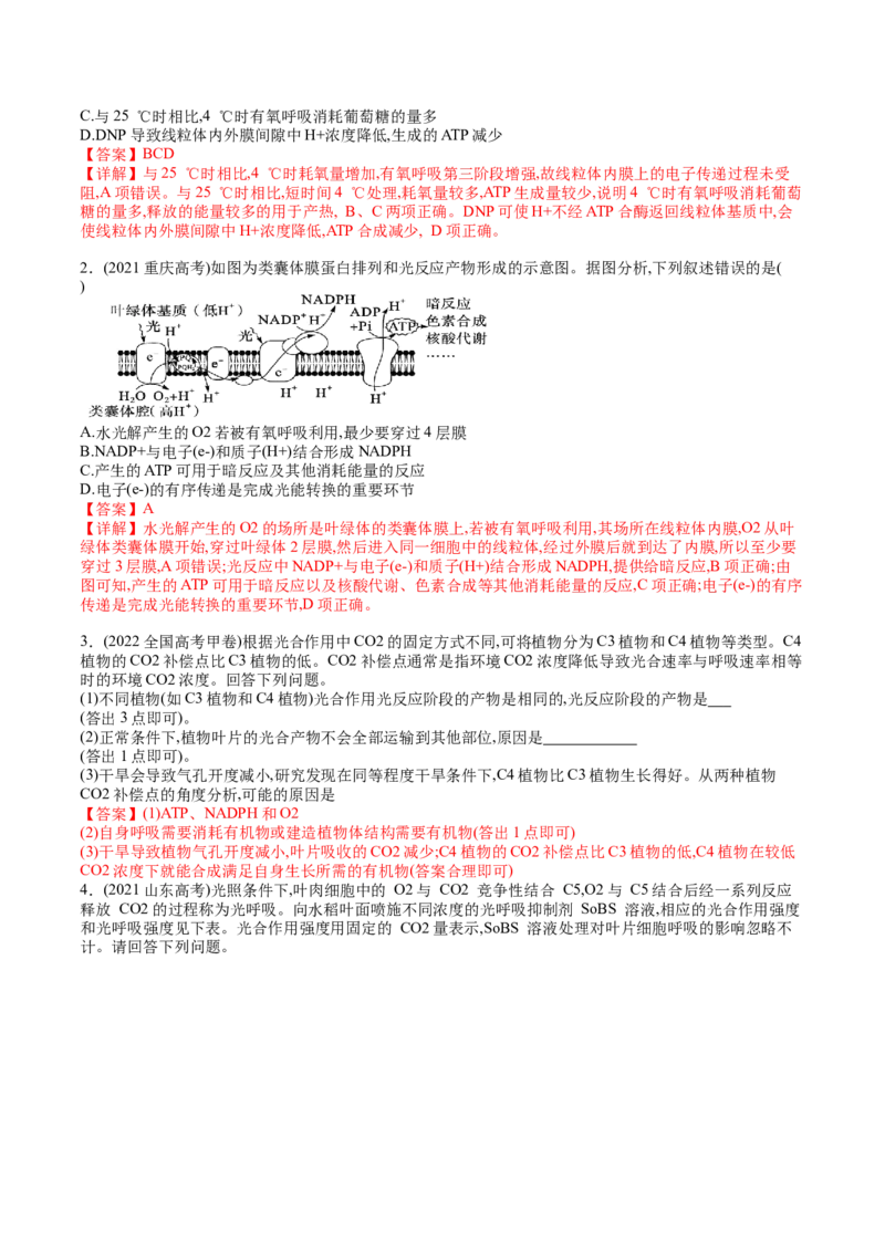 第11讲细胞代谢综合分析（练习）（解析版）_2024年新高考资料_1.2024一轮复习_2024年高考生物一轮复习讲练测（新教材新高考）
