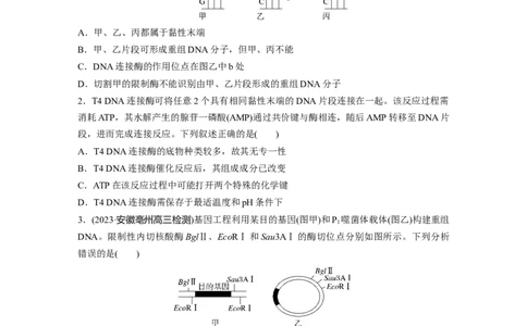 第10单元　课时练6　基因工程的基本工具和基本操作程序_2024年新高考资料_1.2024一轮复习_2024年高考生物一轮复习讲义（新人教版）_学生版在此文件夹_一轮复习69练