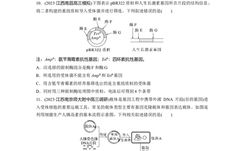 第10单元　课时练6　基因工程的基本工具和基本操作程序_2024年新高考资料_1.2024一轮复习_2024年高考生物一轮复习讲义（新人教版）_学生版在此文件夹_一轮复习69练