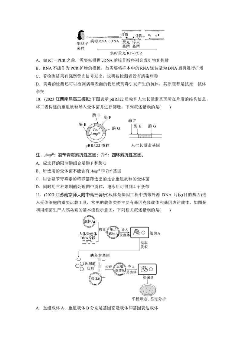 第10单元　课时练6　基因工程的基本工具和基本操作程序_2024年新高考资料_1.2024一轮复习_2024年高考生物一轮复习讲义（新人教版）_学生版在此文件夹_一轮复习69练